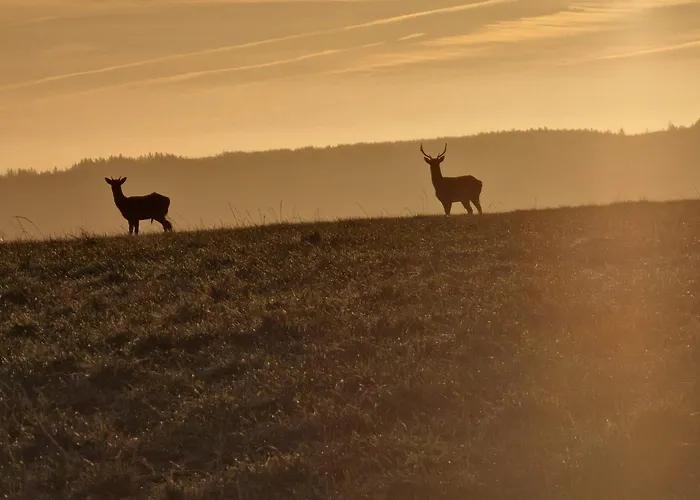 別荘 Kate's Tobar Pheadair